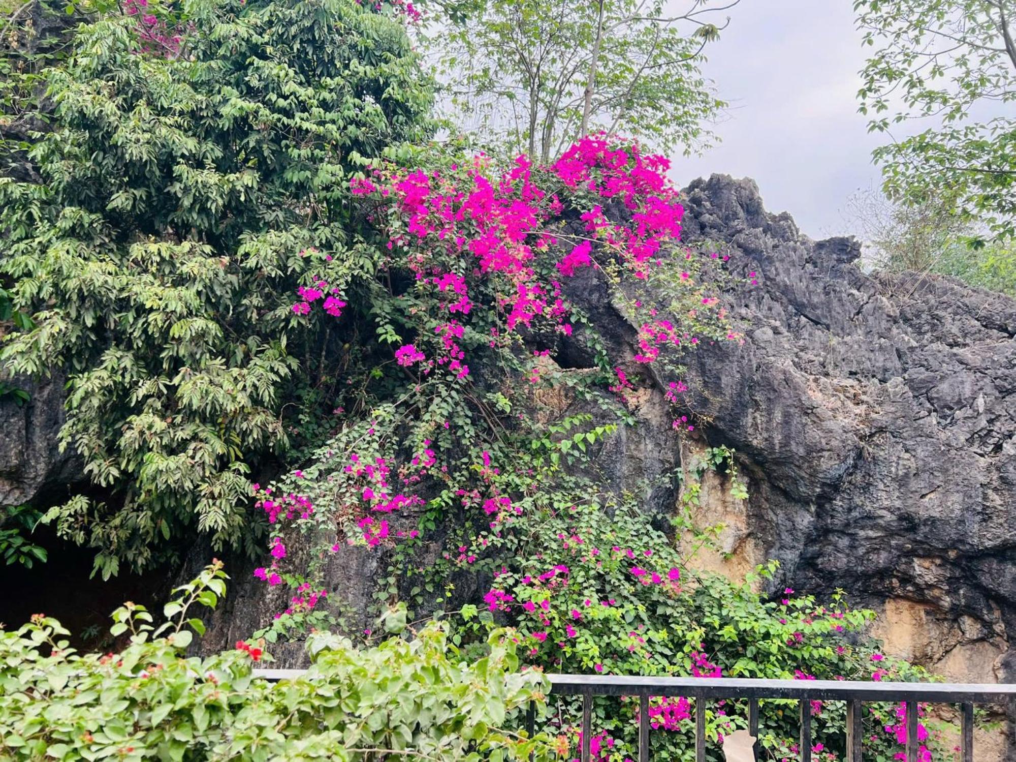 Mai Chau 4 Seasons Bungalow & Hotel מראה חיצוני תמונה